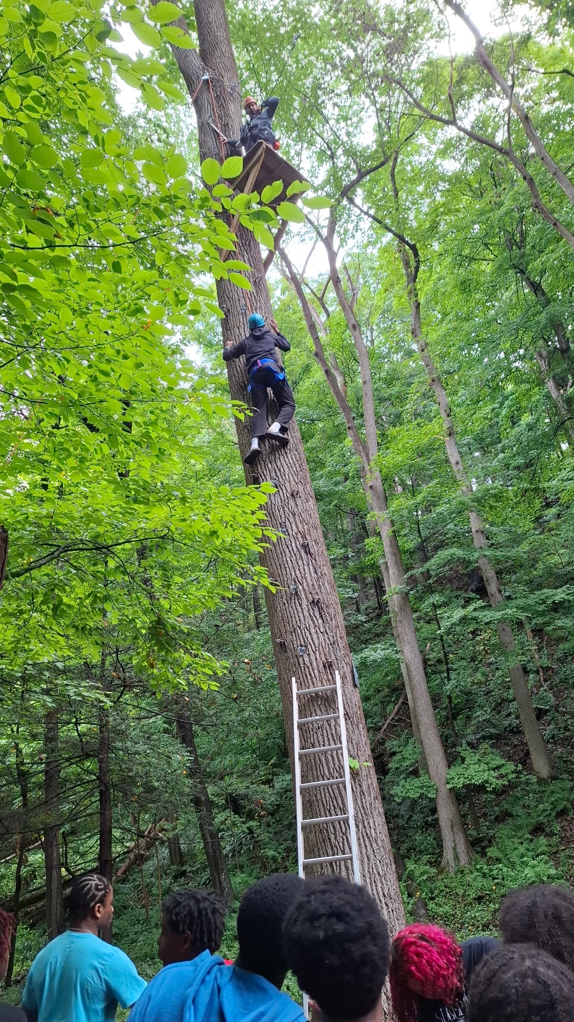 Camp Rise Up Through Mentorship, Education, and Real Conversations Image